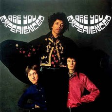  Are You Experienced