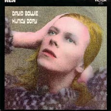  Hunky Dory cover