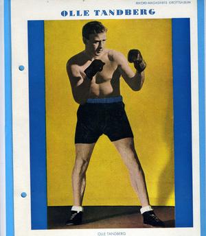 Olle Tandberg profile Celebrity Websites