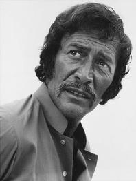 Peter Wyngarde