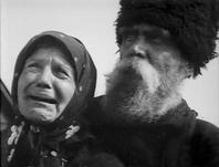 M. Shlenskaya M. Shlenskaya