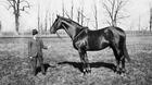 Man o' War