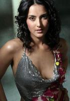 Tulip Joshi